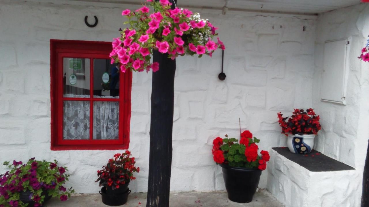 Дома для отпуска Shannon Breeze Cottage Ballycrossaun-16